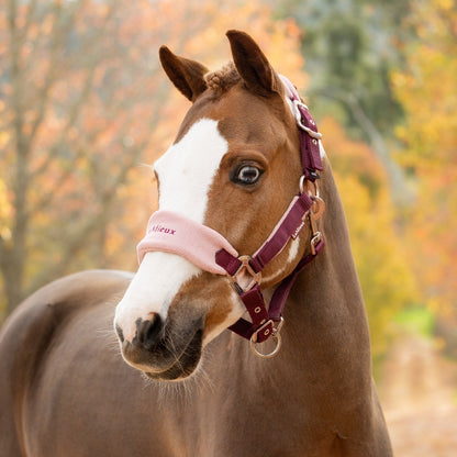 LeMieux Vogue Headcollar &amp; Leadrope Blackberry lifestyle