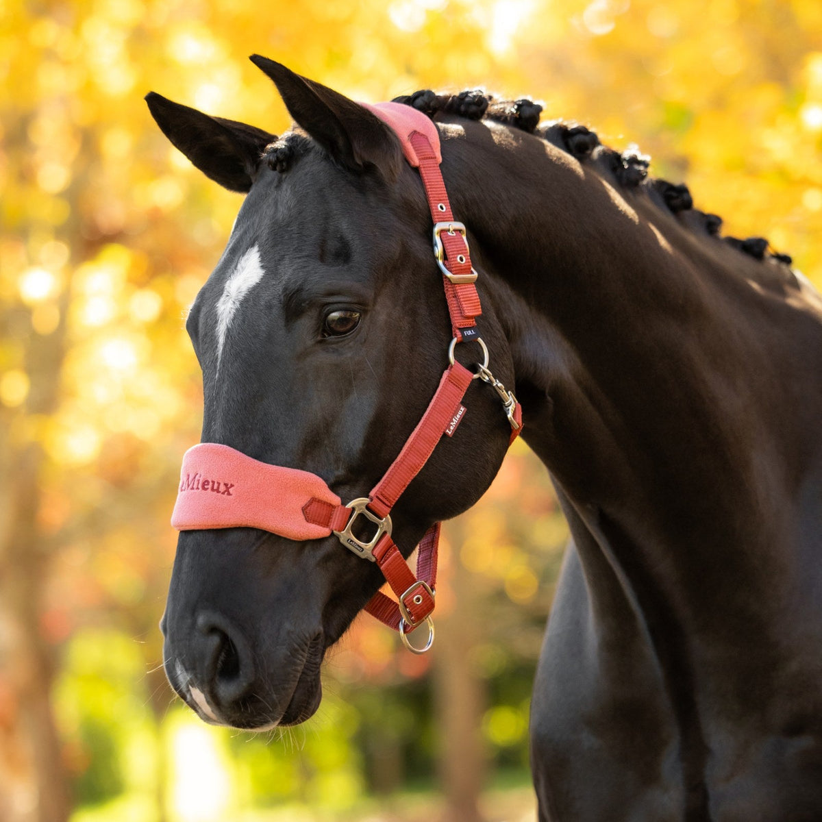 LeMieux Vogue Headcollar &amp; Leadrope Russet lifestyle