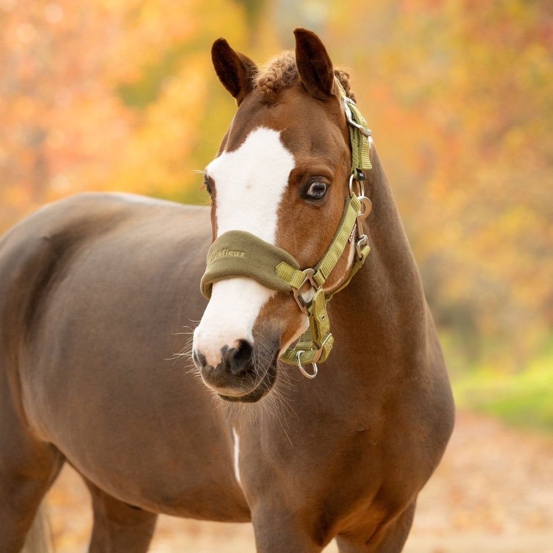 LeMieux Vogue Headcollar &amp; Leadrope Gooseberry lifestyle