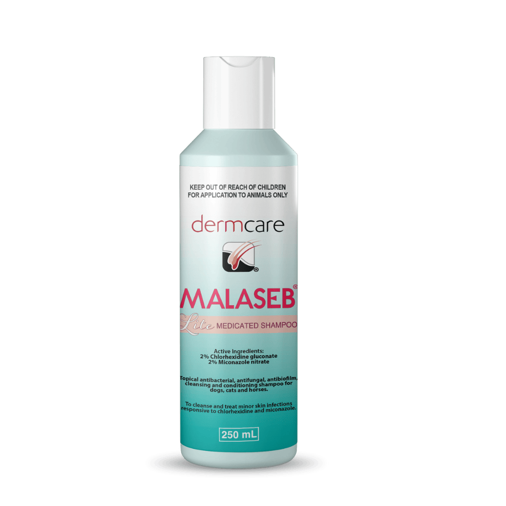 Dermcare Malaseb Lite medicated shampoo 250ml