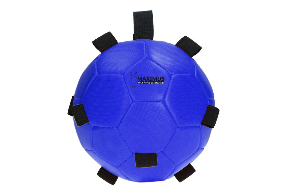 Maximus Fun Play Ball - Blue