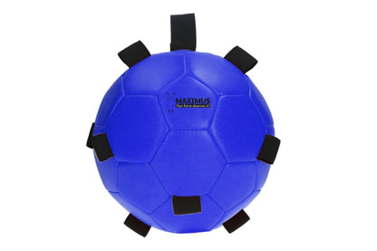 Maximus Fun Play Ball - Blue
