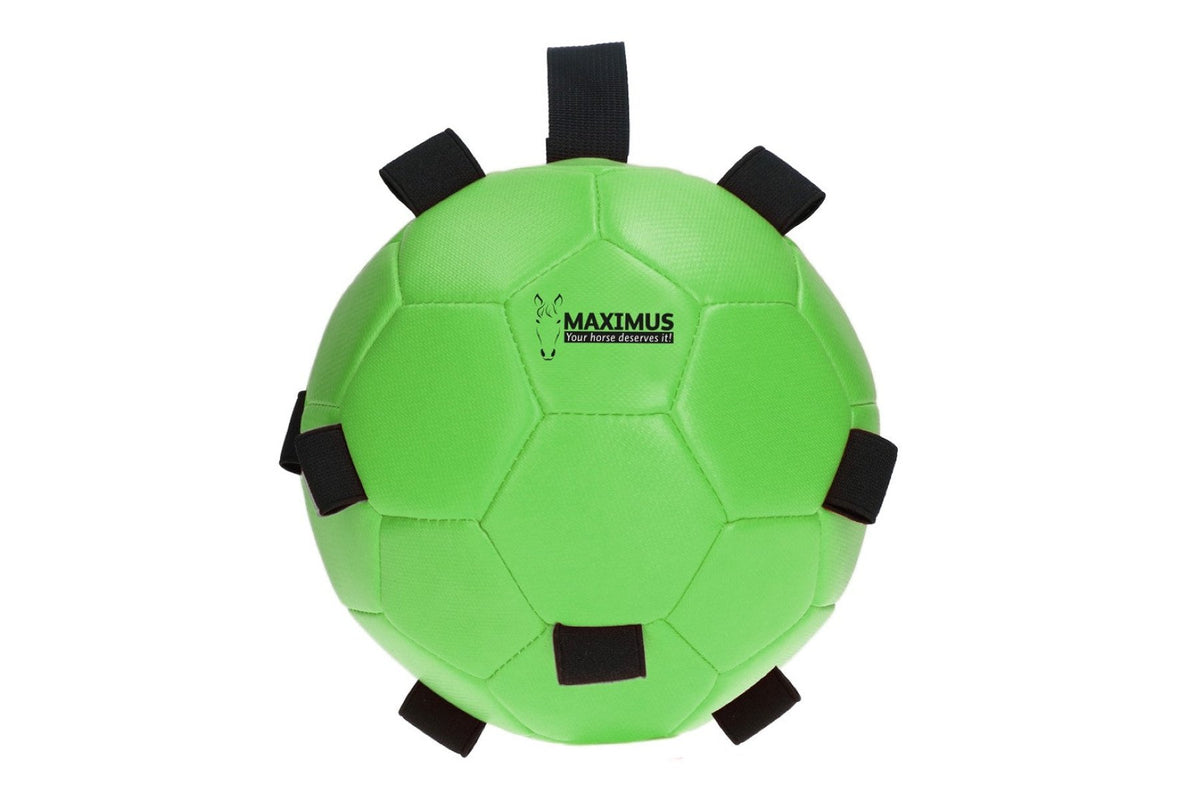 Maximus Fun Play Ball - Green