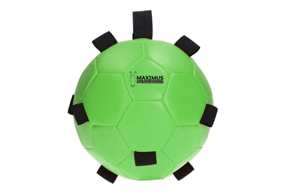 Maximus Fun Play Ball - Green