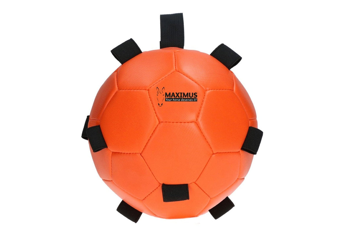 Maximus Fun Play Ball - Orange