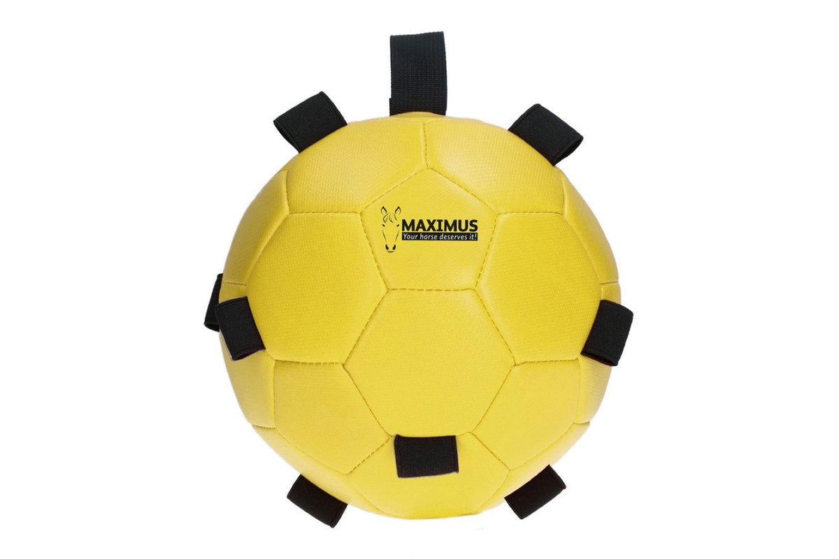 Maximus Fun Play Ball - Yellow