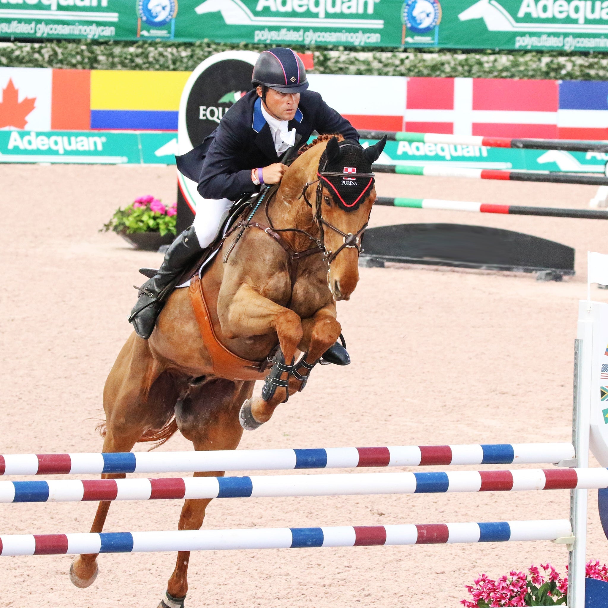 Majyk Equipe Boyd Martin Hyperflex Snap Close Hind Jump Boots