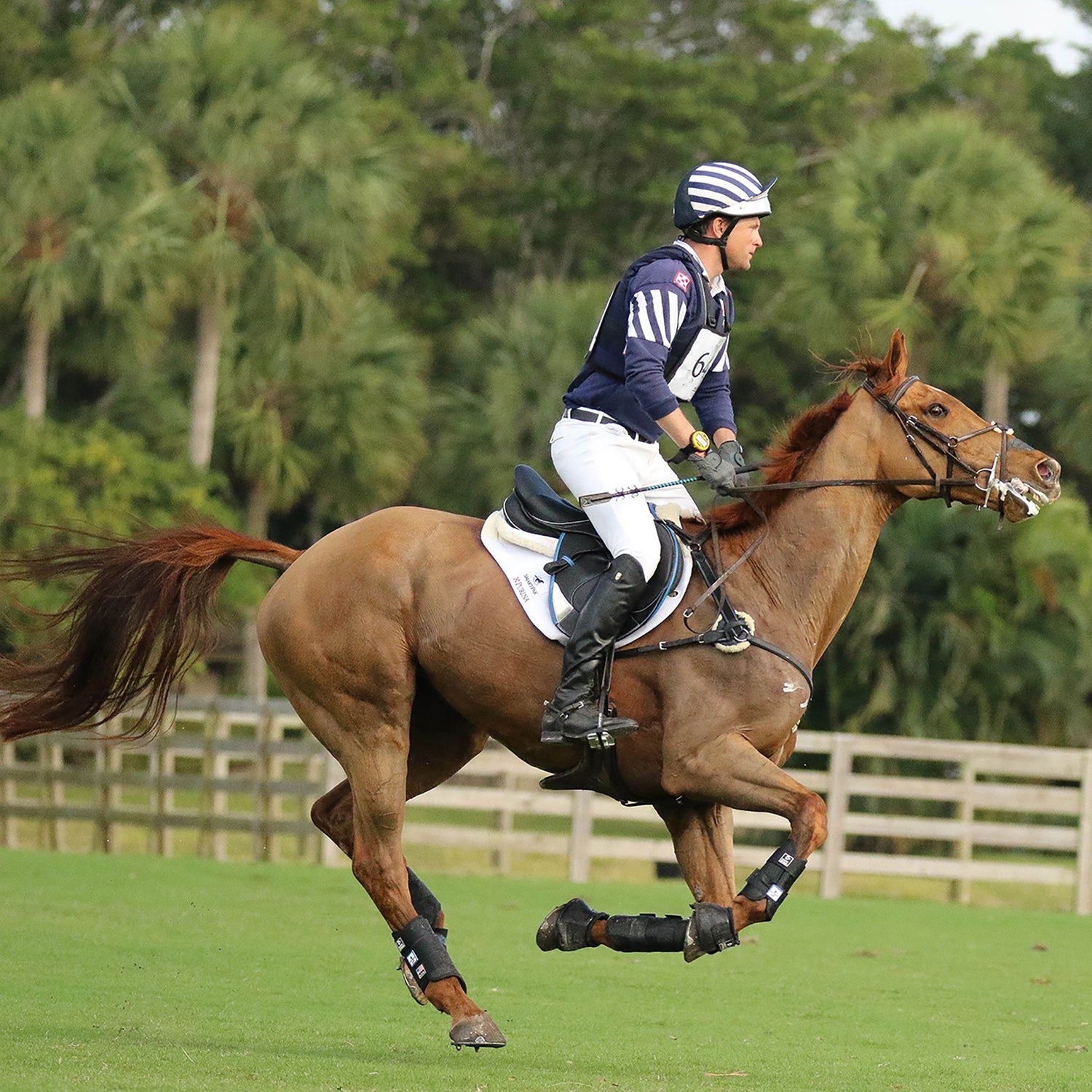 Majyk Equipe Boyd Martin Eventing XC Boots 4 Pack