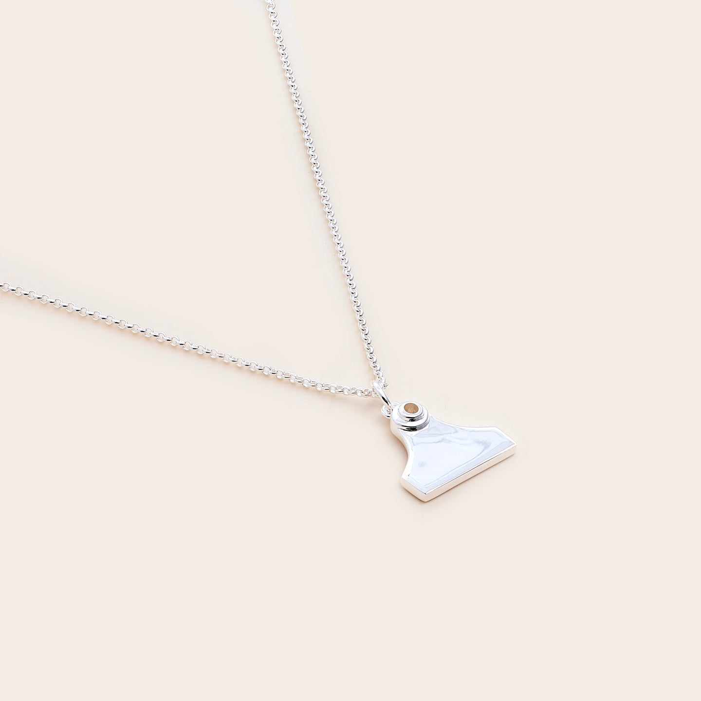 Whistle &amp; Pop Cattle Tag Necklace