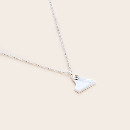 Whistle &amp; Pop Cattle Tag Necklace