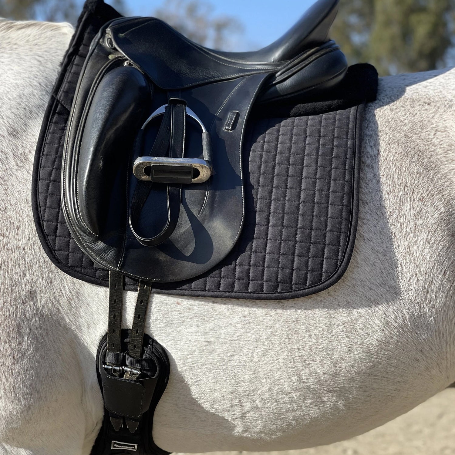Majyk Equipe Dressage Pad Correction