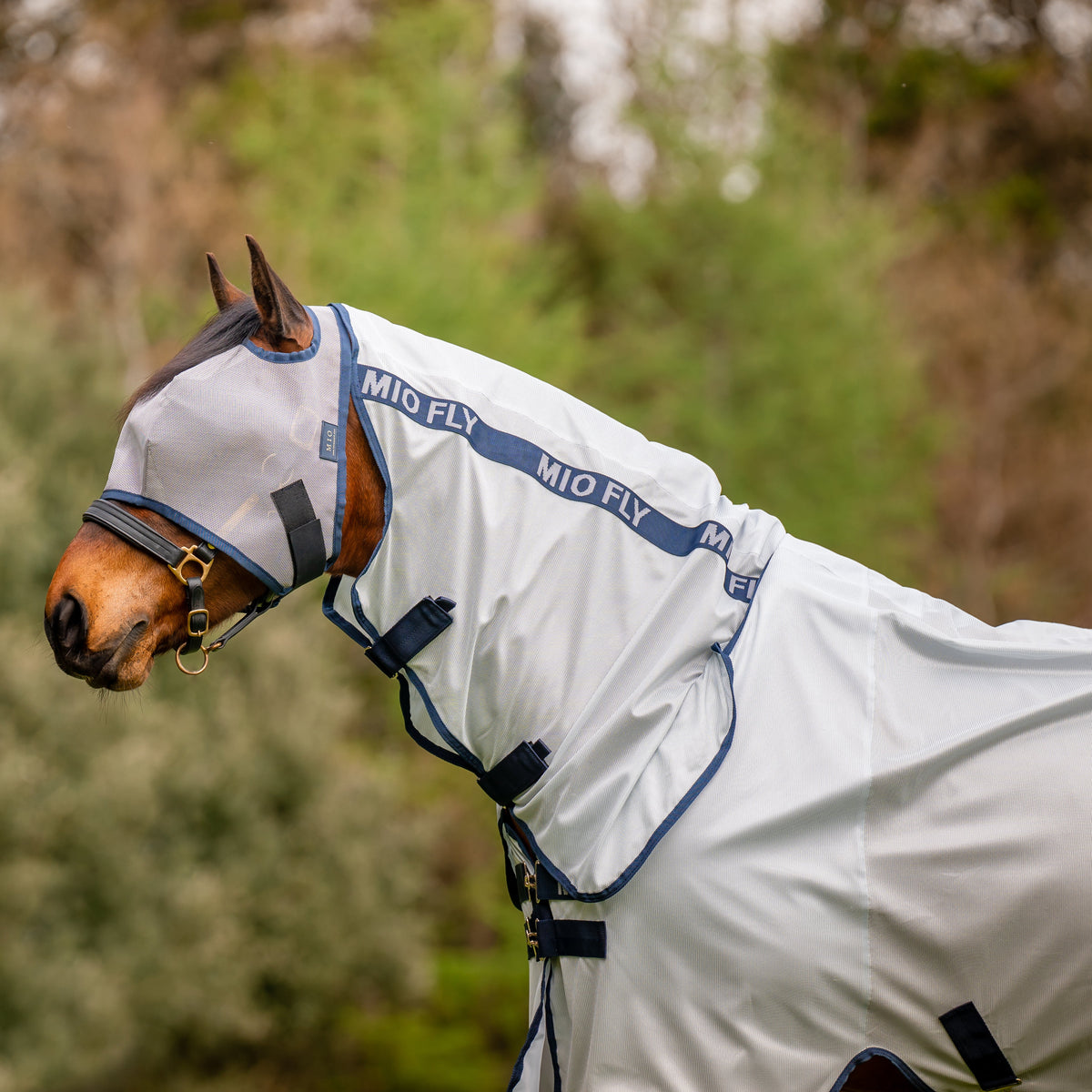 Mio Fly Rug Combo - 2