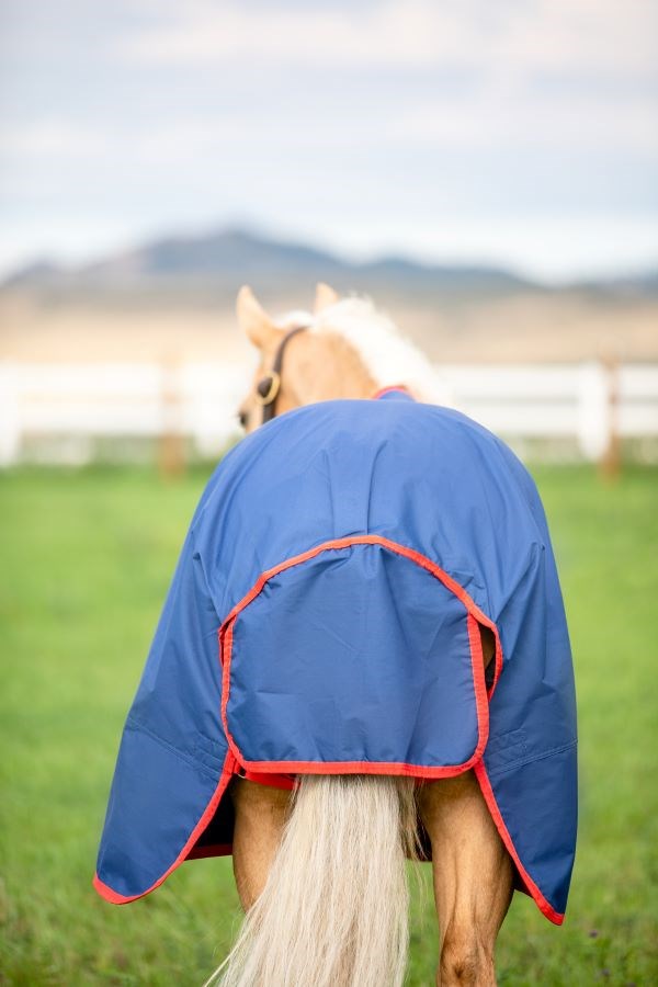 Mio Lite Turnout Standard Neck