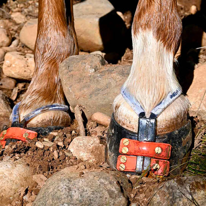 Scootboot Mud Straps