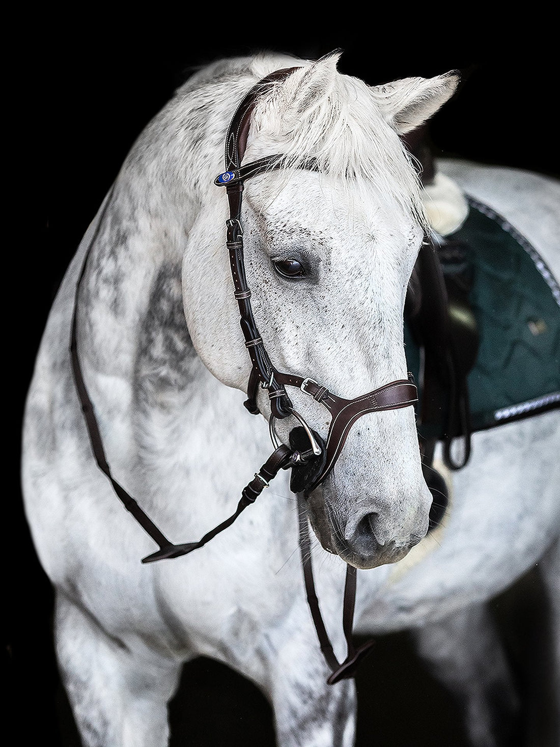 PS of Sweden Bridle Nirak