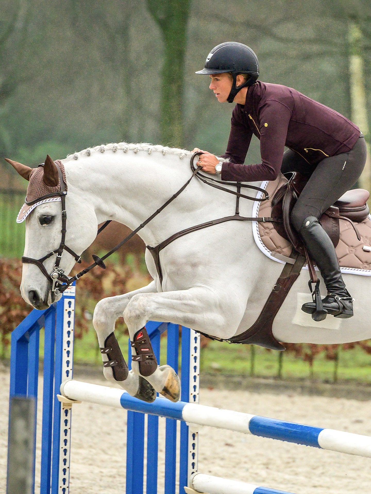 PS of Sweden Bridle Nirak