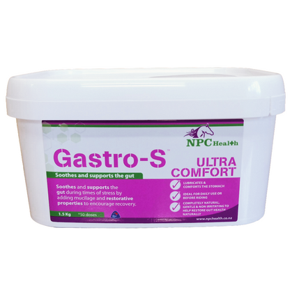 NPC Health Gastro-S Natural Ulcer Support