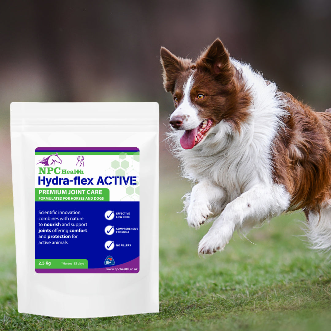 NPC Health Hydra-flex Canine Joint Supplement - 2