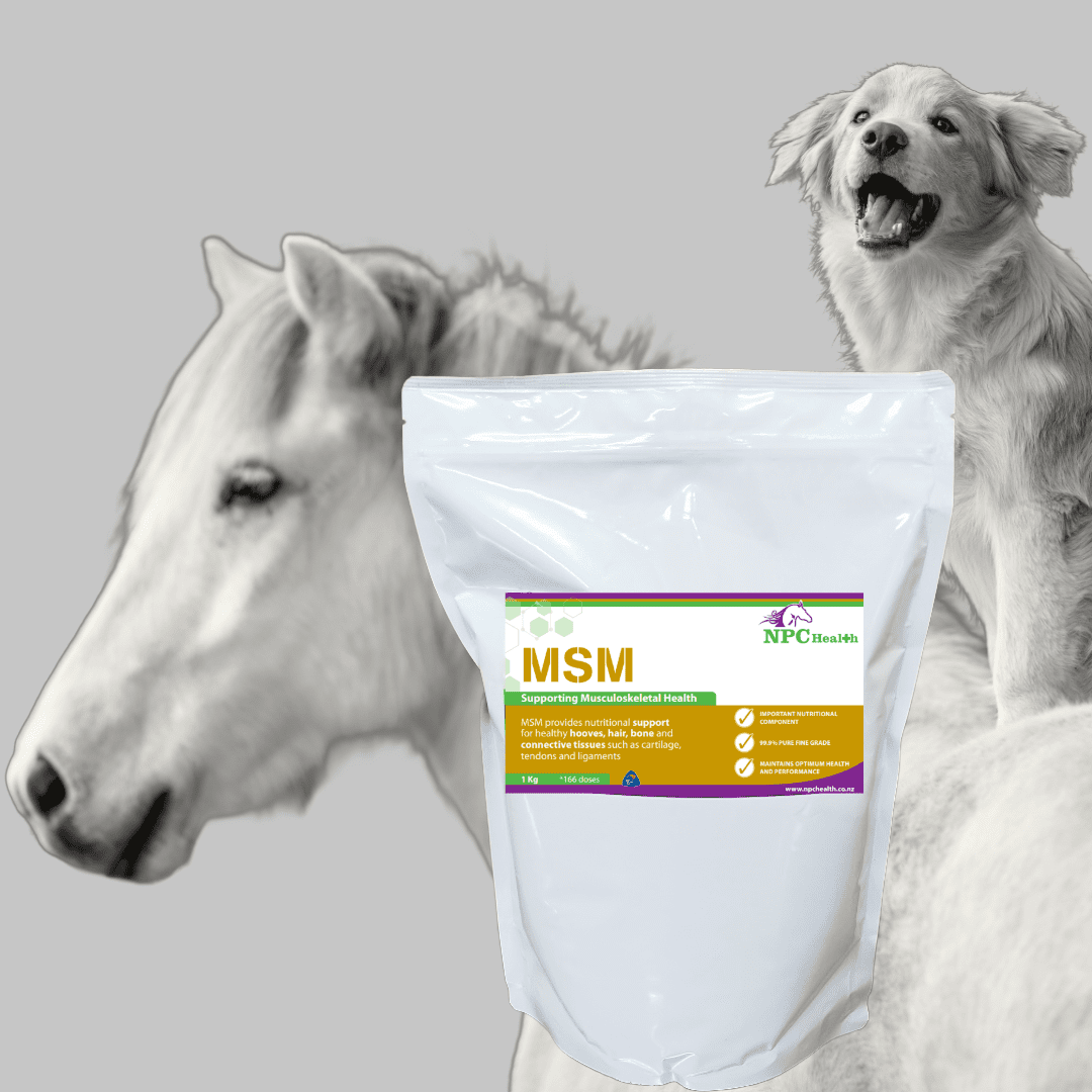 NPC Health MSM Supplement for Horses and Dogs - 2