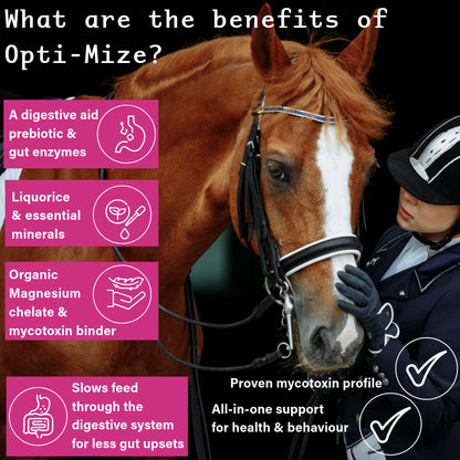 NPC Health Opti-Mize Grass Affected Horses - 2