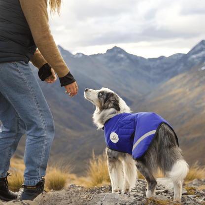 NZ Tack Buddy Dog Coat - 2