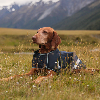 NZ Tack Buddy Dog Coat Navy - 3