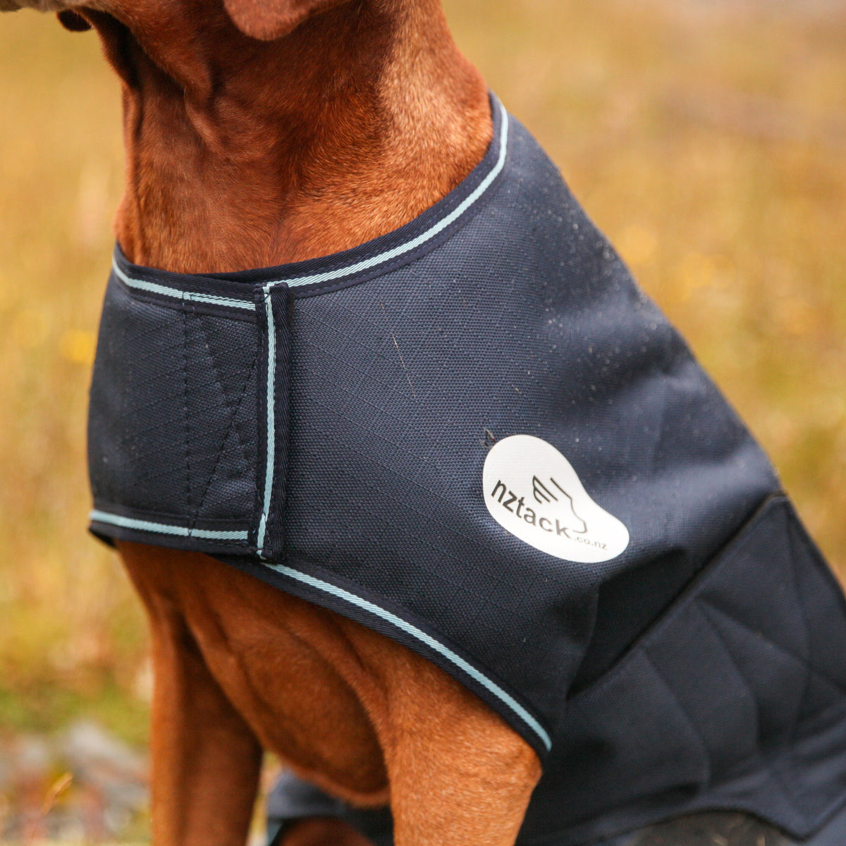 NZ Tack Buddy Dog Coat Navy - 4