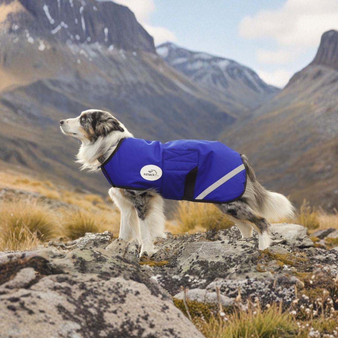 NZ Tack Buddy Dog Coat