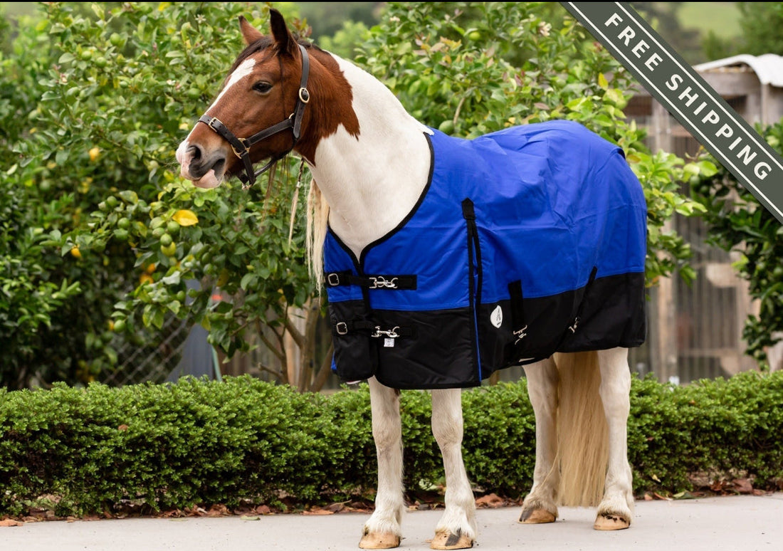 NZ Tack Duke 1200D Standard Neck FREE SHIPPING