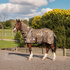 NZ Tack Giraffe Mesh Fly Combo