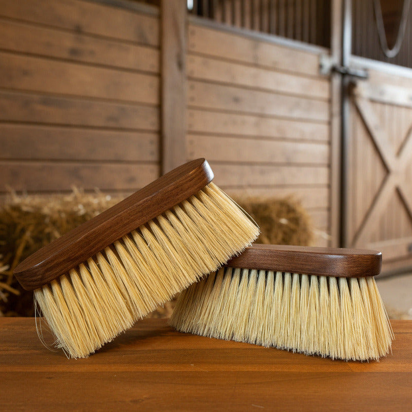 NZ Tack Saddlery Co Stiff Body Brush - NZTSTIFFBB