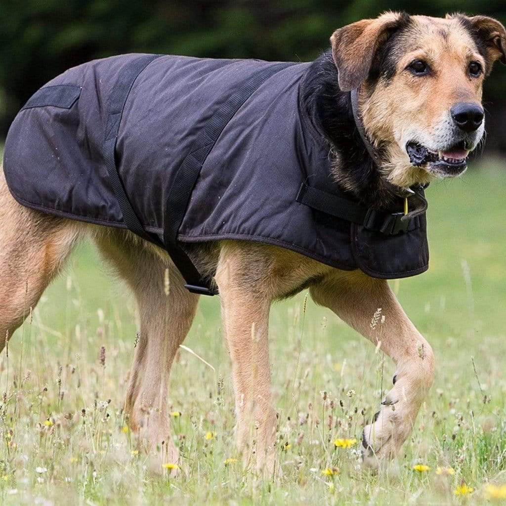 Outback Trading Co Clancy Oilskin Dog Coat - 2
