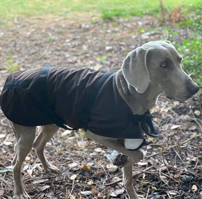 Outback Trading Co Clancy Oilskin Dog Coat - 3