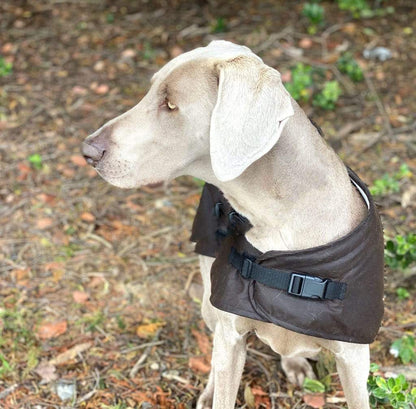 Outback Trading Co Clancy Oilskin Dog Coat - 5