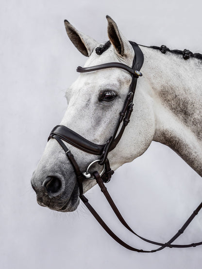 PS of Sweden Bridle Paladin