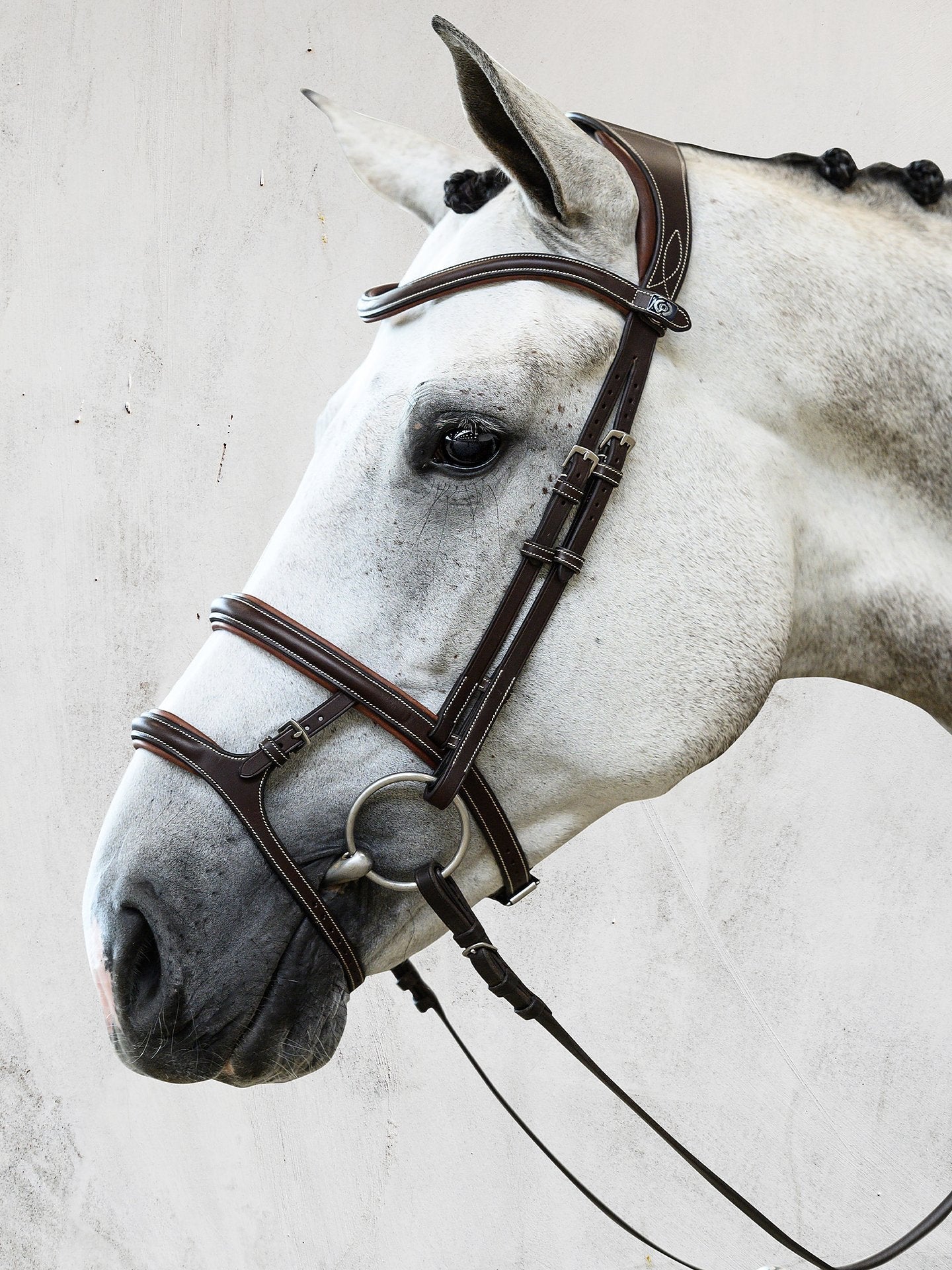 PS of Sweden Bridle Paris