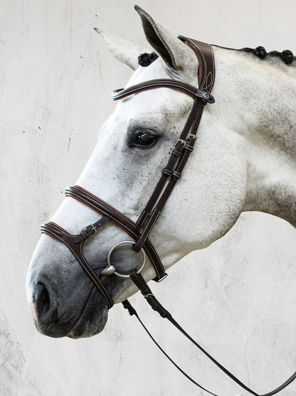 PS of Sweden Bridle Paris