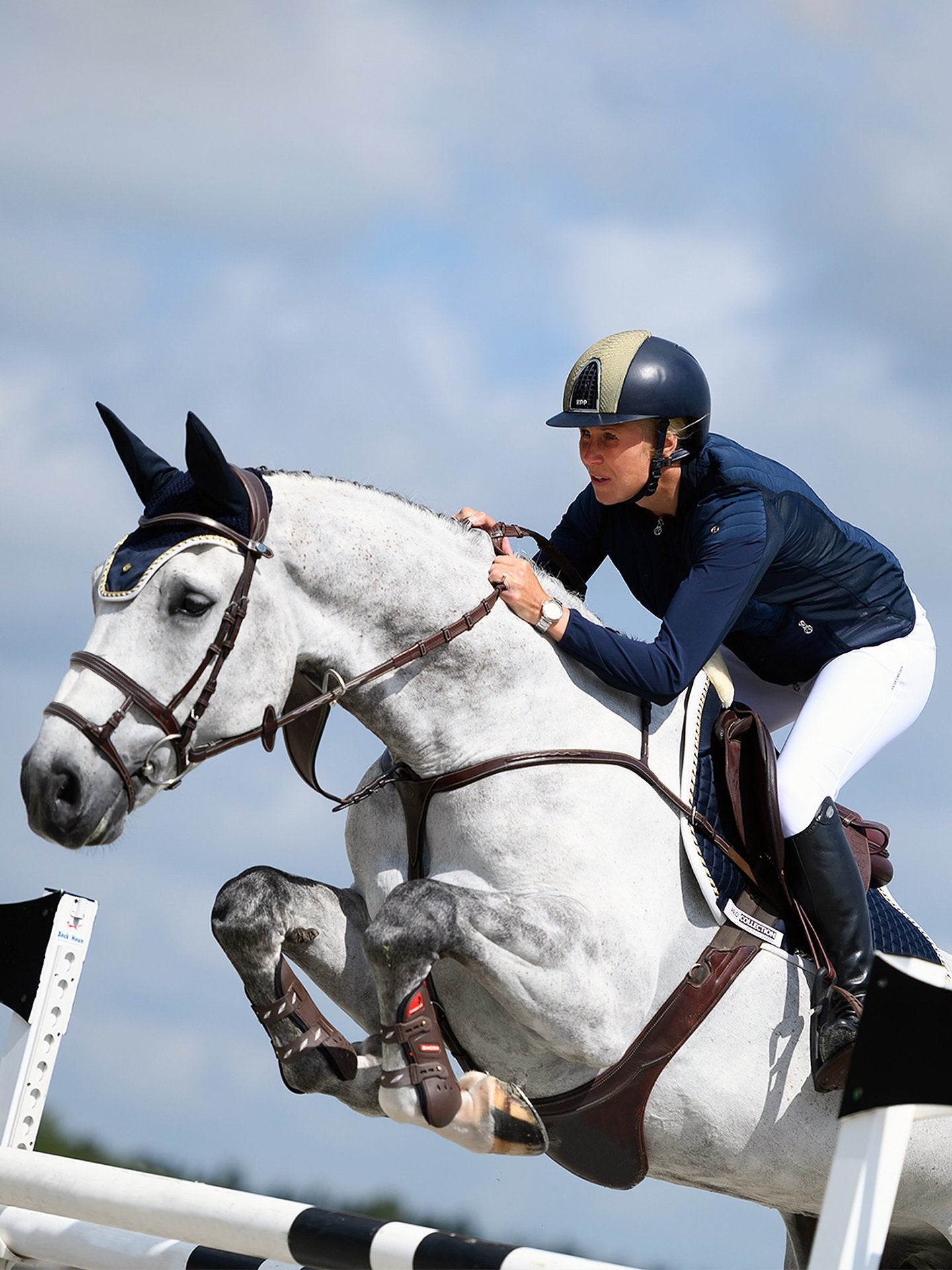 PS of Sweden Bridle Paris