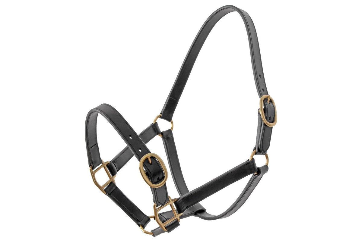 Platinum Leather Halter - Black