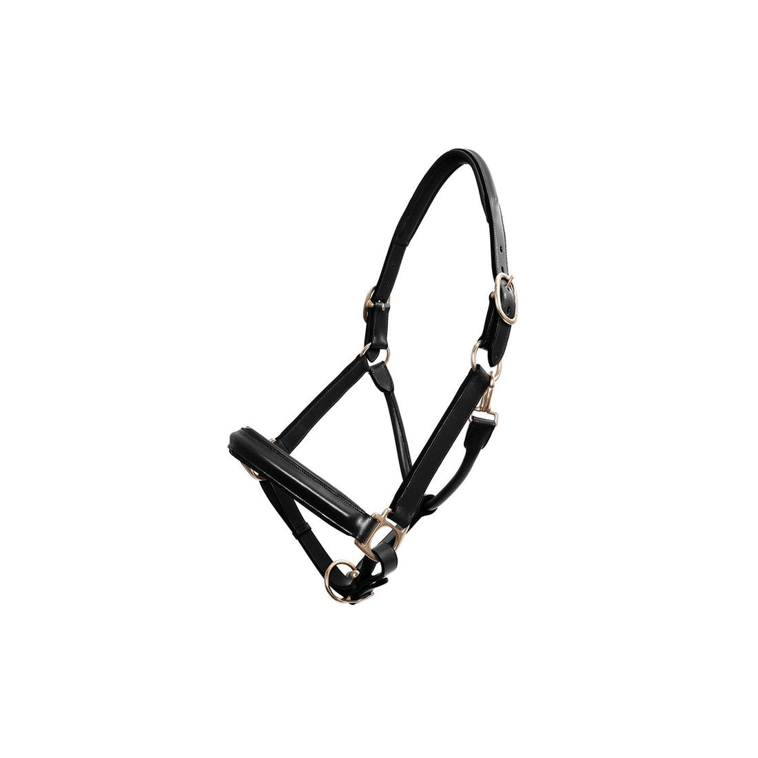Platinum Leather Show Halter - Black