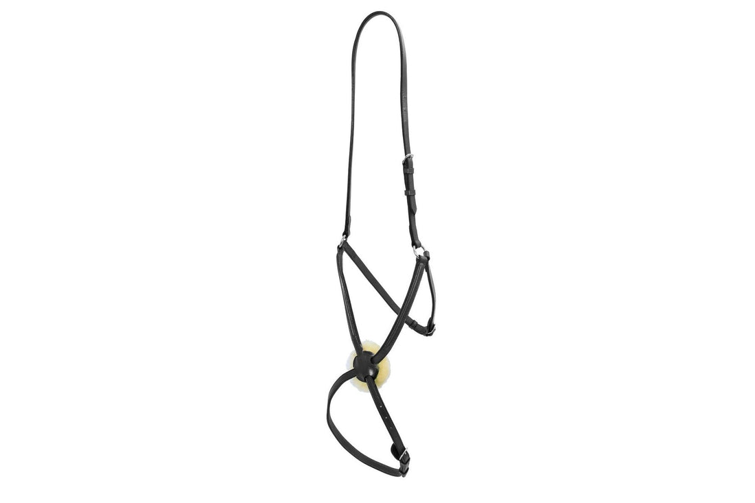Platinum Mexican Grakel Noseband - Black