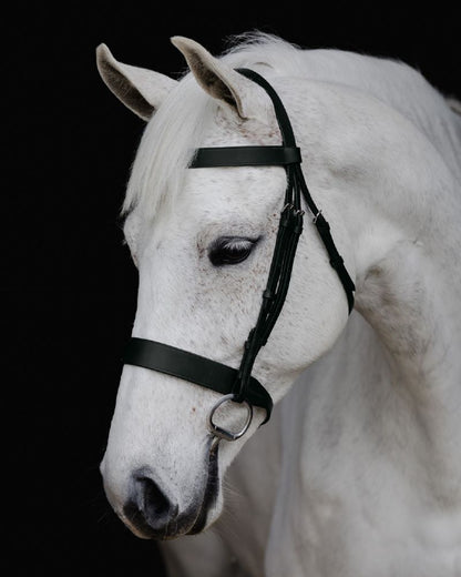 Platinum Show Bridle
