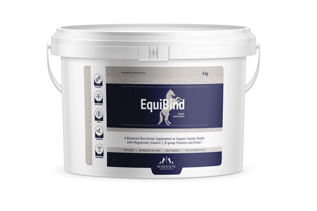 Poseidon EquiBind - 2