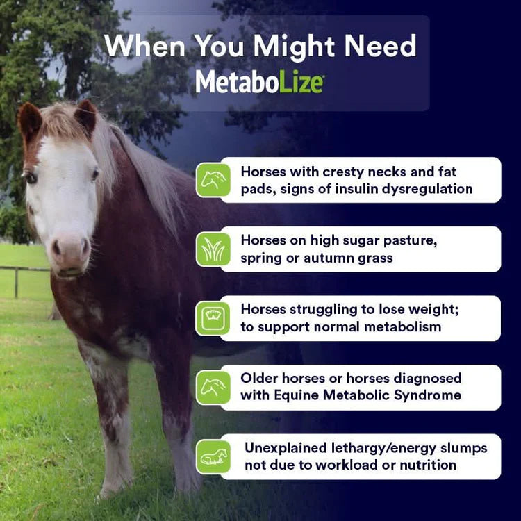 Poseidon MetaboLize - 4