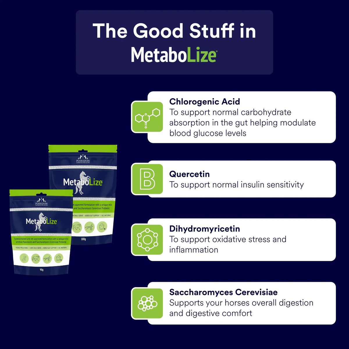Poseidon MetaboLize - Ingredients