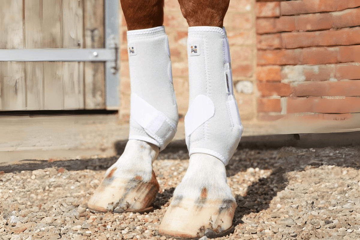 Premier Equine Air-Tech Sports Medicine Boots - 4