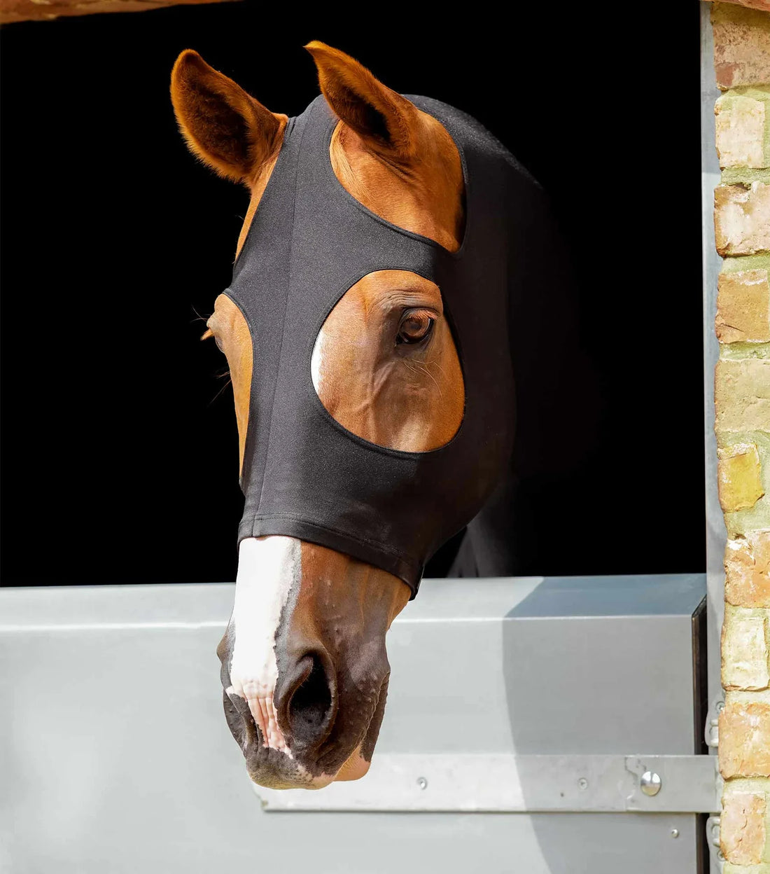 Premier Equine Stretch Lycra Hood - 2