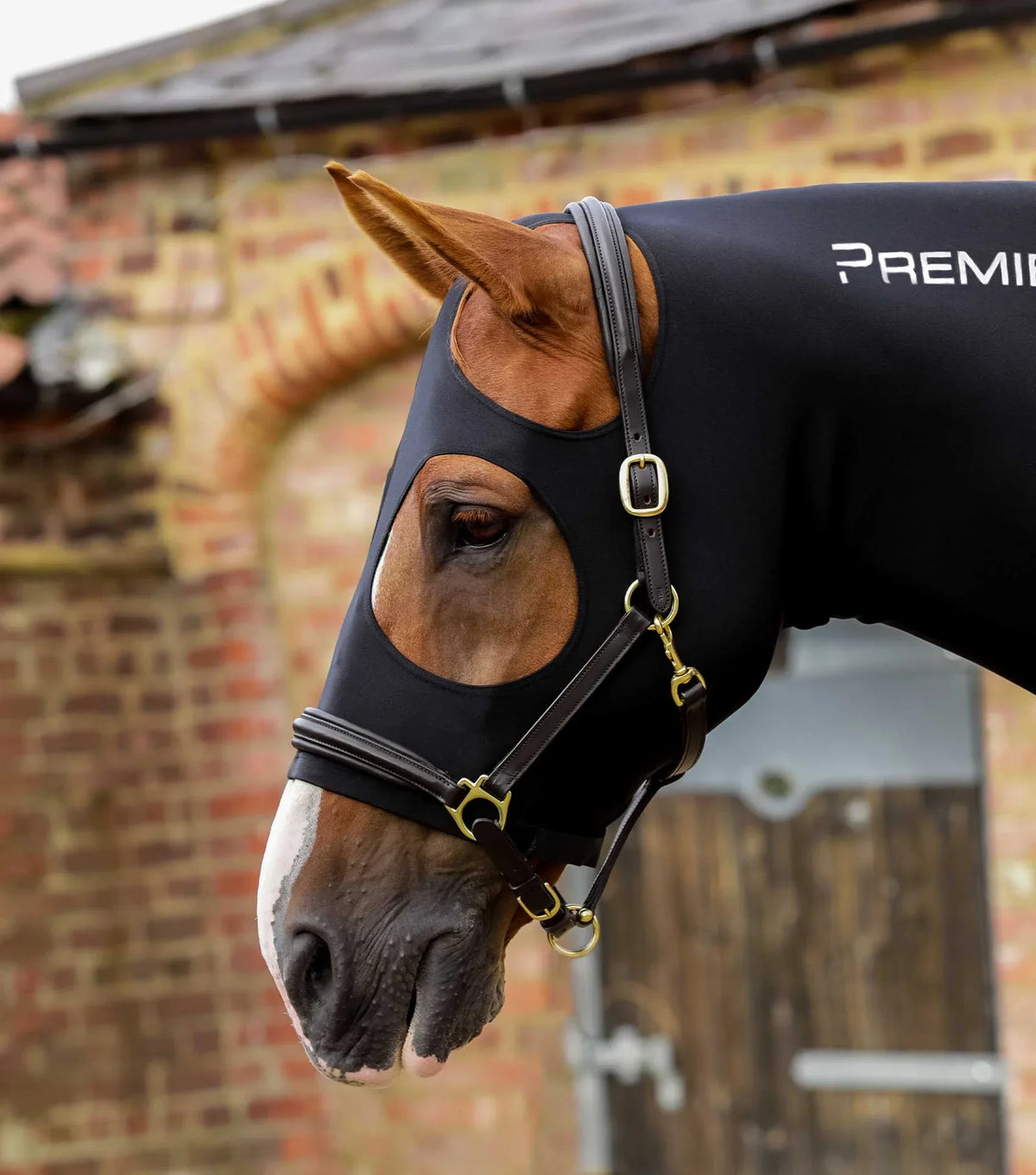 Premier Equine Stretch Lycra Hood - 4