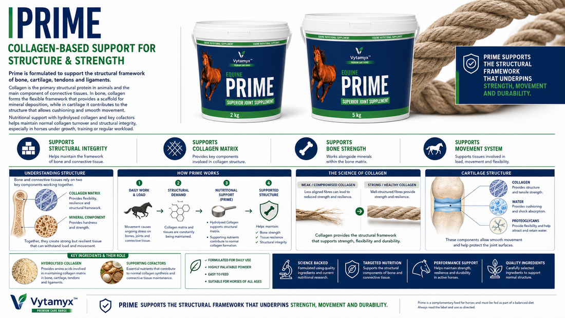 Vytamyx Equine Prime – the science infographic