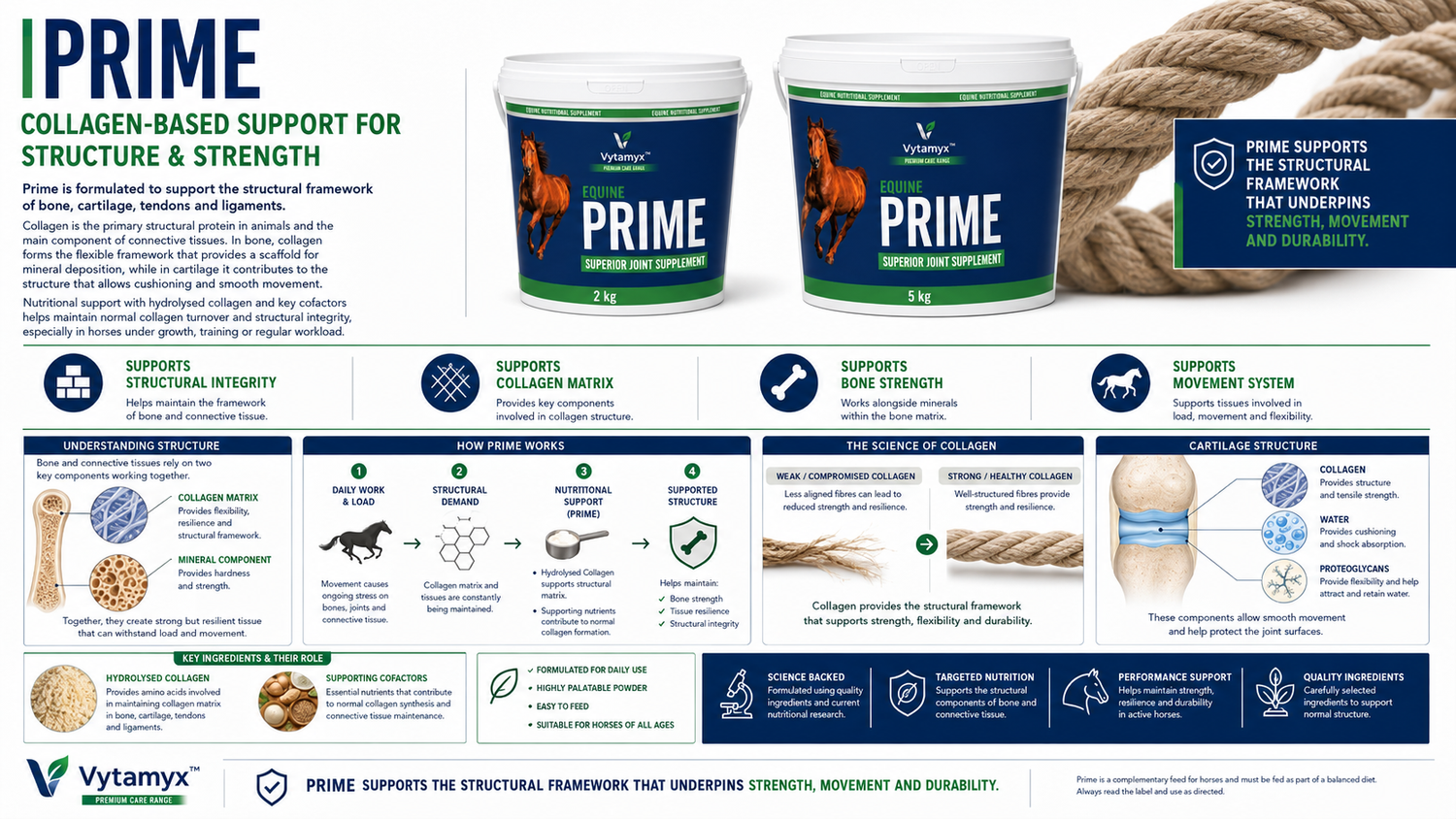 Vytamyx Equine Prime – the science infographic
